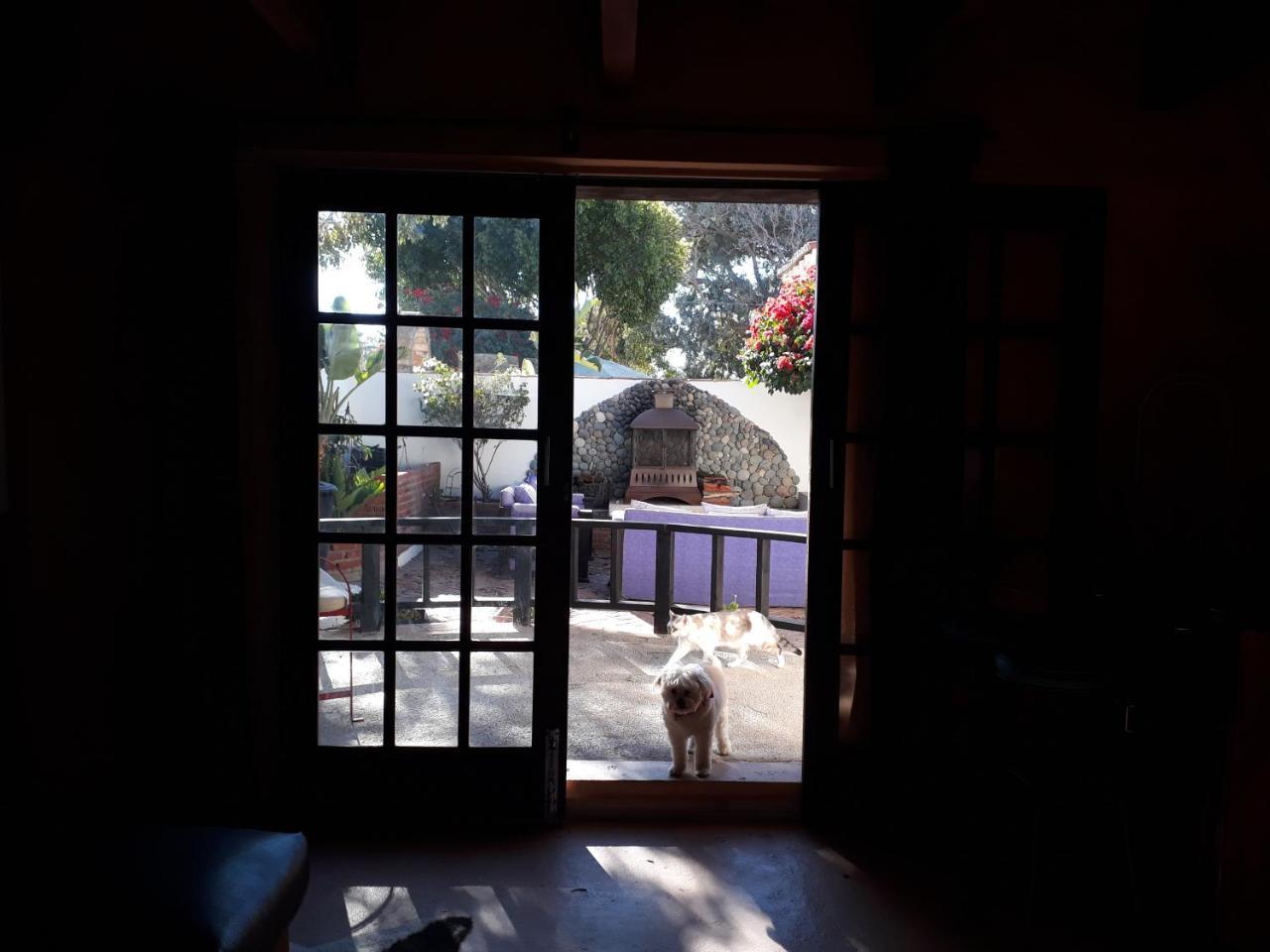 Hacienda Rancho Santini Bed & Breakfast Rosarito Exterior photo